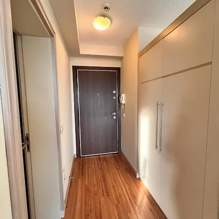 Amazing Penthouse With Sea View At Atasehir,finance Center 4min, Emaarmall 6 Mn Ulkersports 1min 公寓